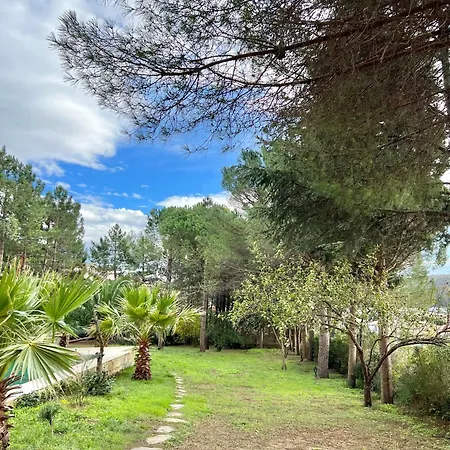 Oezel Havuzlu Bahceli Muestakil Ağva